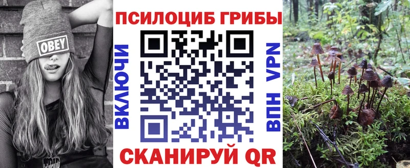 mega   Бугульма  Галлюциногенные грибы Cubensis 
