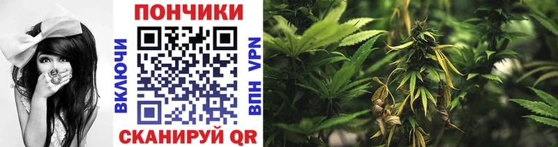 наркотики  Бугульма  Бошки Шишки Bruce Banner 